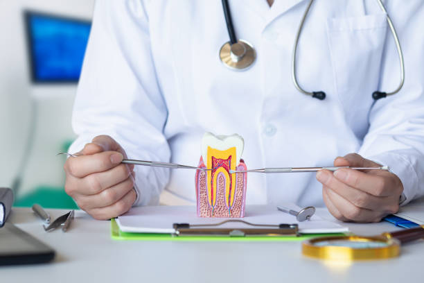 Best Emergency Root Canal Treatment in Saddle River, NJ